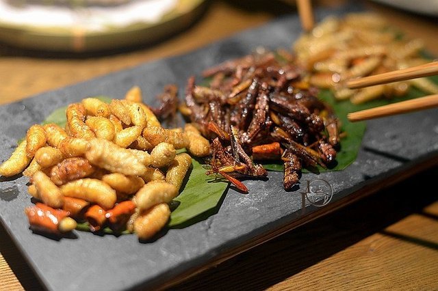昆虫赶集