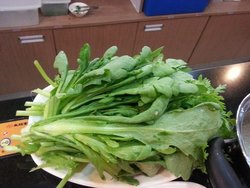 茼蒿