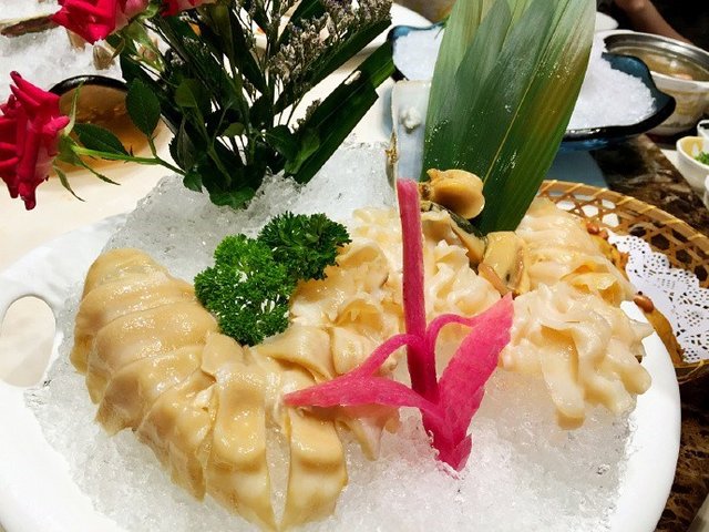 象拔蚌