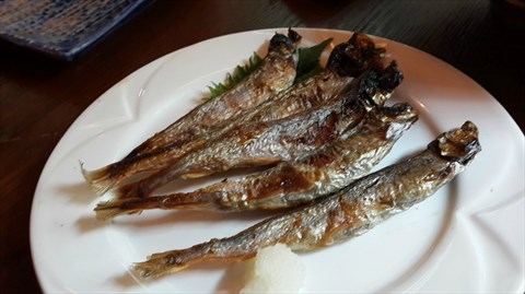 烤多春魚