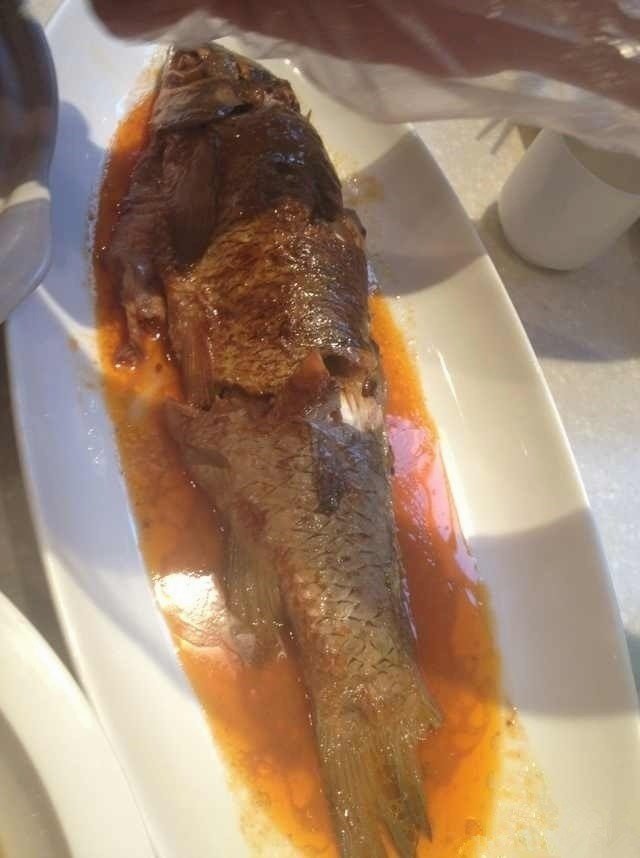 功夫鱼