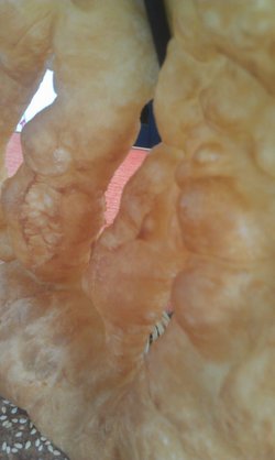 油饼