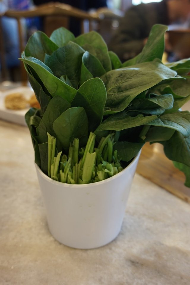菠菜
