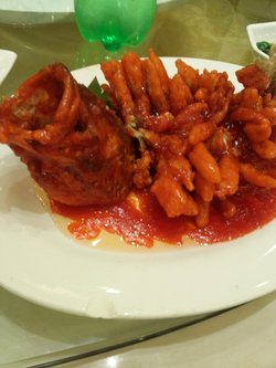松鼠桂鱼