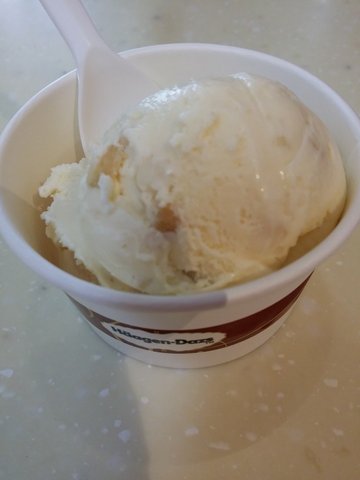 夏威夷果仁