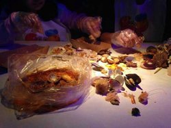 虾贝组合