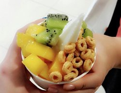 冻酸奶