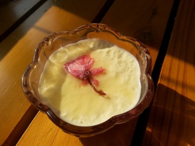 樱花布丁