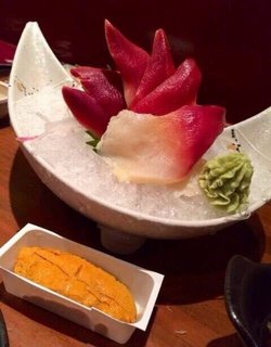北极贝