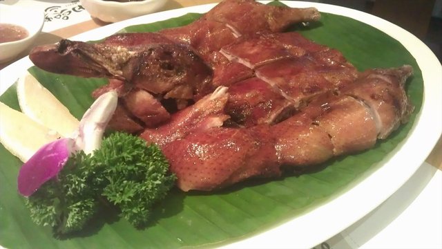 琵琶鸭