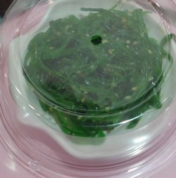 海藻