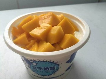 芒果双皮奶