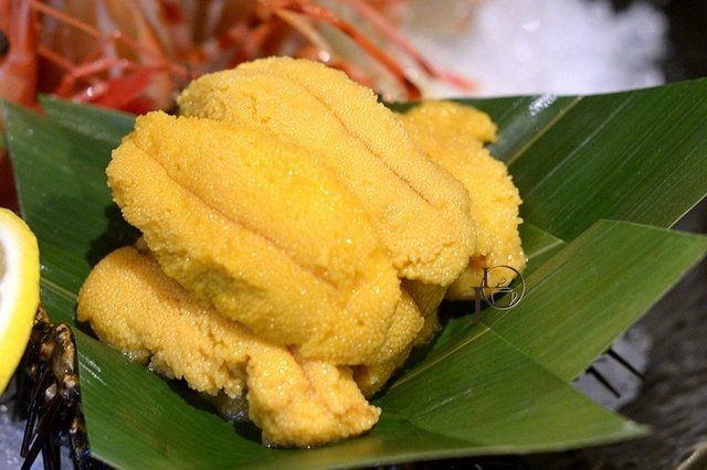 活杀海胆