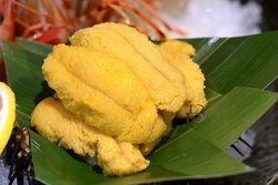 活杀海胆