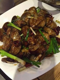 爆炒花哈