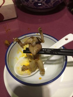 蛙肉嫩，个头也不小