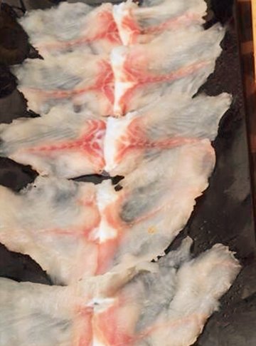 斑鱼片