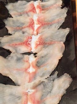 斑鱼片