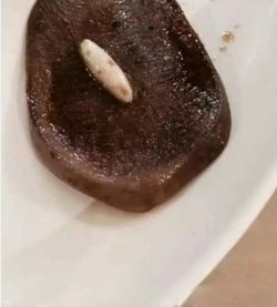 牛舌