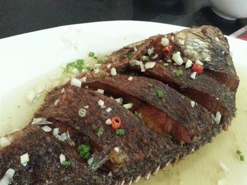 罗非鱼