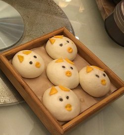 猪宝宝
