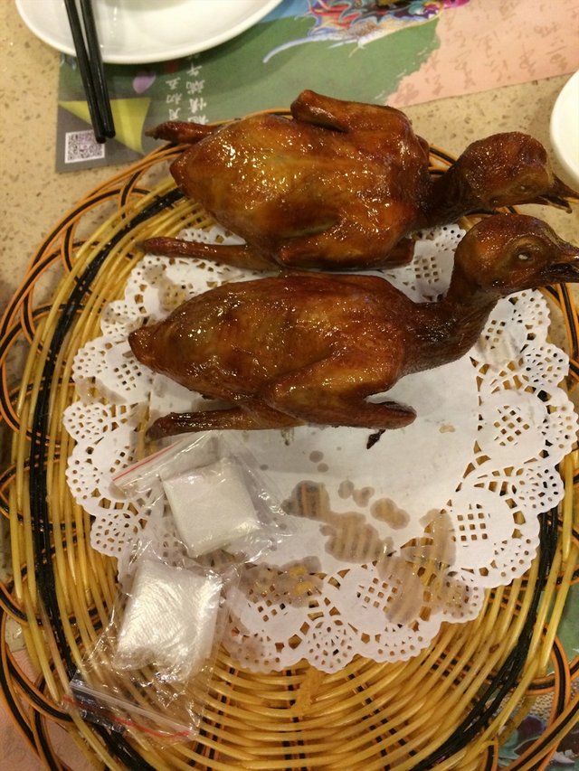 红烧乳鸽
