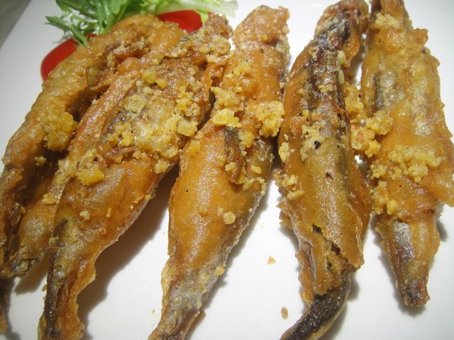 黄金多春鱼