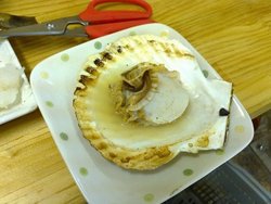 烤扇贝