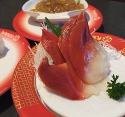 北极贝