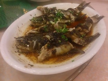 黄骨鱼