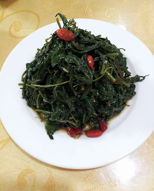 枸杞苗