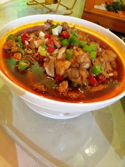 金牌馋嘴蛙