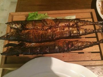 秋刀鱼