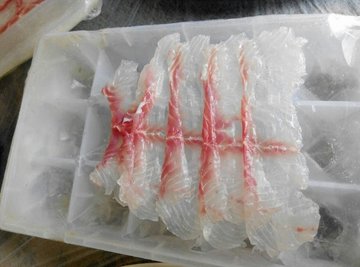 斑鱼片