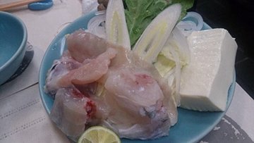 河豚
