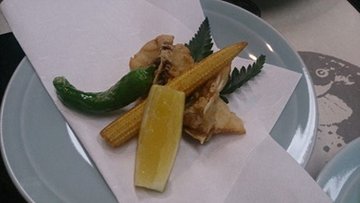 河豚鱼