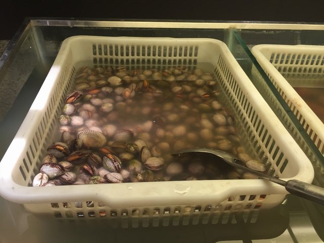 扇贝