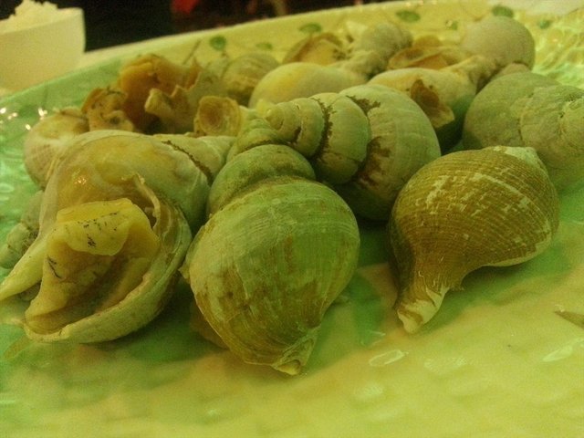 翡翠螺