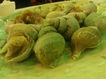 翡翠螺