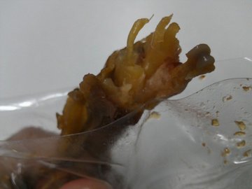 鸡爪