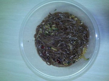 酸辣蕨根粉