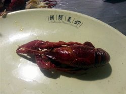 精品靓亮蒸虾