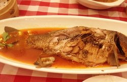 功夫鱼