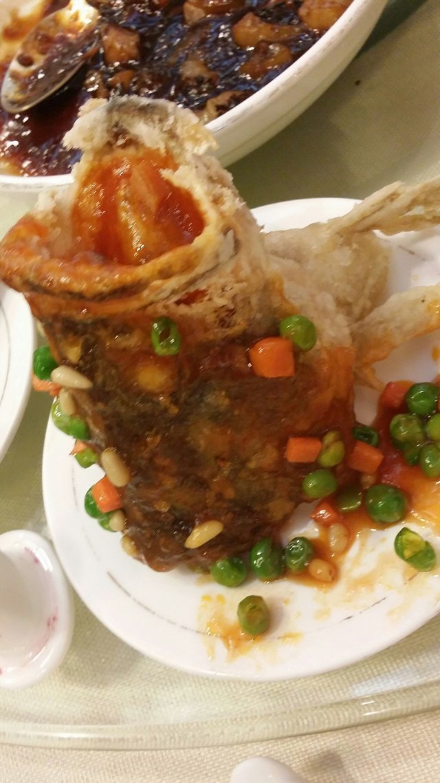 松鼠桂鱼
