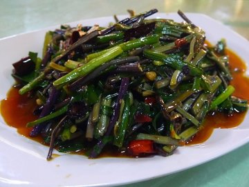 龙爪菜