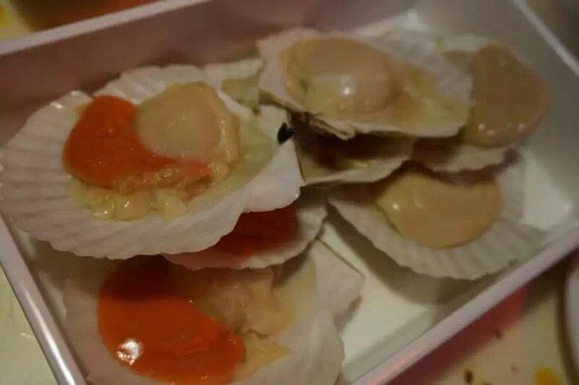 扇贝