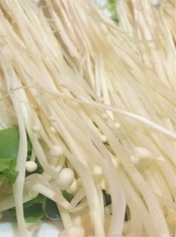金针菇