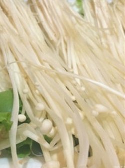 金针菇