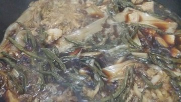 灶台鱼