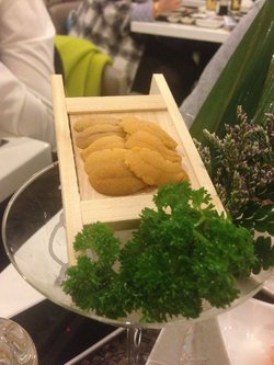 海胆